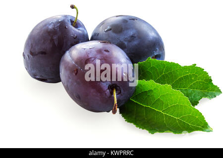 Three isolated plums with leaves on white background. Saved clipping path Stock Photo