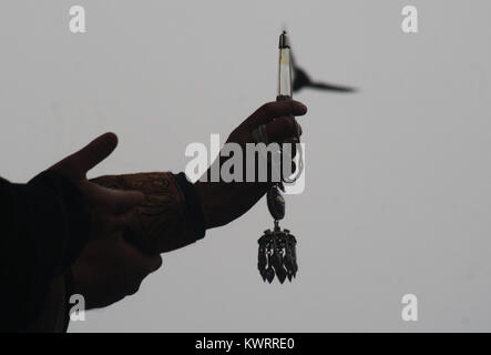 Srinagar, Kashmir. 5th Jan, 2018. A cleric  displays a holy relic.as Kashmiri Muslim devotees raise hands in prayers not seen in the picture  during THE  Friday following of The annual urs of Hazrat Sheikh Abdul Qadir Jeelani, popularly known as Ghous-ul-Azam, Dastageer Sahib, 11th century saint, was celebrated. ©Sofi Suhail/Alamy Live News Stock Photo