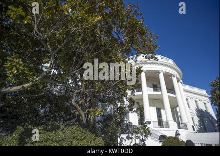 Washington, District of Columbia, USA. 5th Jan, 2018. The Jackson Magnolia, a tree that was planted on the White House grounds in Washington, DC by former United States President Andrew Jackson, after significant pruning in late December, 2017, on Friday, January 5, 2018. First lady Melania Trump approved iconic tree being cut back out of concern for the safety of guests and journalists who often stand under the tree ''” especially when Marine One lifts off. Credit: ZUMA Press, Inc./Alamy Live News Stock Photo