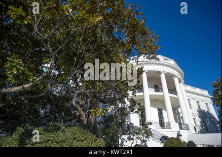 The Jackson Magnolia, a tree that was planted on the White House grounds in Washington, DC by former United States President Andrew Jackson, after significant pruning in late December, 2017, on Friday, January 5, 2018. First lady Melania Trump approved iconic tree being cut back out of concern for the safety of guests and journalists who often stand under the tree - especially when Marine One lifts off. Credit: Ron Sachs/CNP - NO WIRE SERVICE - Photo: Ron Sachs/Consolidated/dpa Stock Photo