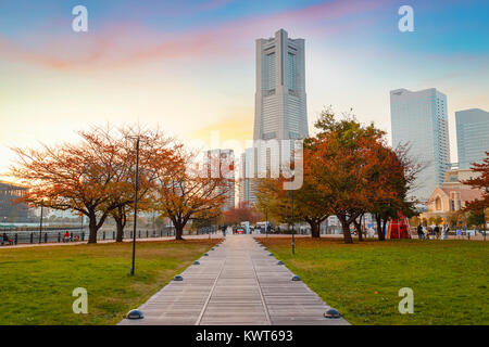 Minatomirai Area With Skyscrapers in the Evening                                                            YOKOHAMA, JAPAN - NOVEMBER 24 2015: Minato Stock Photo