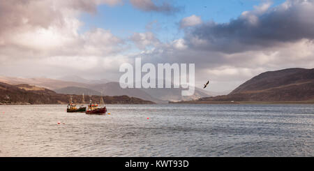 Patchy evening light shines on fishing boats anchored in Loch Broom at Ullapool in the north west Highlands of Scotland. Stock Photo