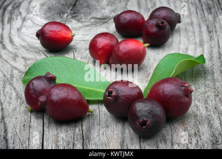 Cattley guava (Psidium littorale subsp. longipes) or Peruvian guava or Red Cherry Guava or Strawberry guava or Psidium cattleianum or Psidium chinense Stock Photo