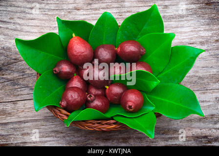 Cattley guava (Psidium littorale subsp. longipes) or Peruvian guava or Red Cherry Guava or Strawberry guava or Psidium cattleianum or Psidium chinense Stock Photo