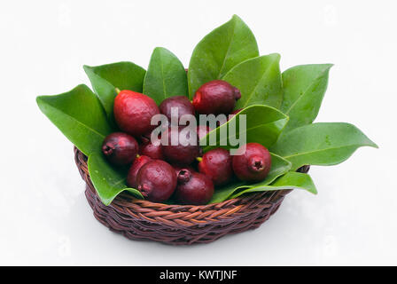 Cattley guava (Psidium littorale subsp. longipes) or Peruvian guava or Red Cherry Guava or Strawberry guava or Psidium cattleianum or Psidium chinense Stock Photo