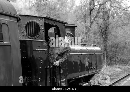 Black and white close up, vintage 1940s UK steam train, crew engine driver leaning out locomotive cab, in action on Severn Valley heritage railway. Stock Photo