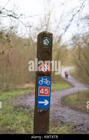 Signpost marker at Severn Valley Country Park, Shropshire showing Cycle Route 45 & The Highley Trail. Walkers visible in distance on winding path. Stock Photo