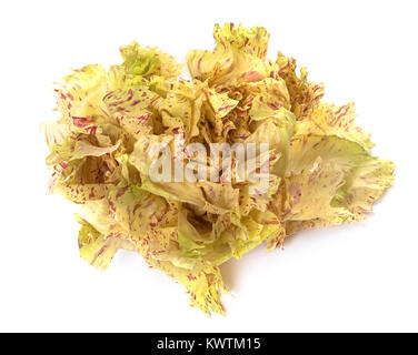 freshness salad in front of white background Stock Photo