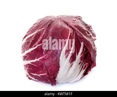 freshness salad in front of white background Stock Photo