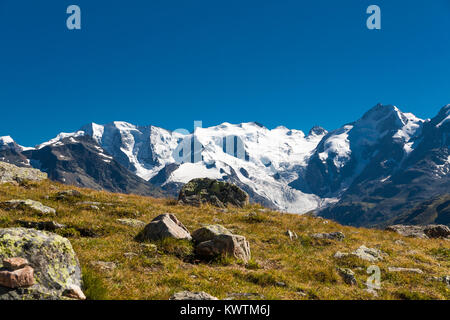 Piz Bernina and Morteratsch glacier, view from Paradis Hutte, Engadine, Switzerland. Stock Photo