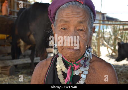 A burmese elderly woman stares at the lens while weaving bamboo pieces for furniture needs around her cattle stable in Loikaw, Kayah state, Myanmar. Stock Photo