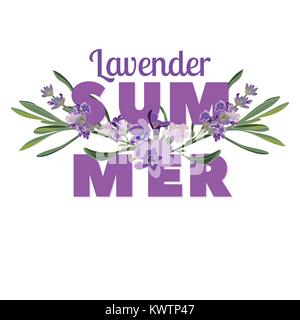 Summer floral background with beautiful lavender flowers on white background. Multicoloured typography greeting card. Vector illustration Stock Vector