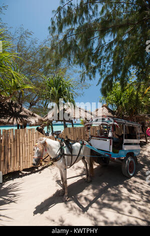 Indonesia, Lombok, Gili archipelago, Gili Meno, the only mean of transport is the cidomo, horse drawn carriage Stock Photo