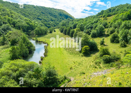The River Wye on the Monsal Trail in the Peak District, England, in summer Stock Photo