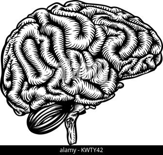 Human Brain in Retro Vintage Style Stock Vector