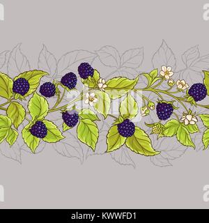 blackberry seamless vector pattern on color background Stock Vector