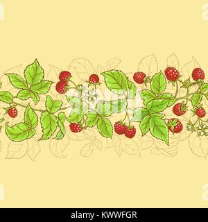 raspberry vector seamless pattern on color background Stock Vector