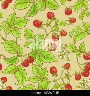 raspberry vector seamless  pattern on color background Stock Vector