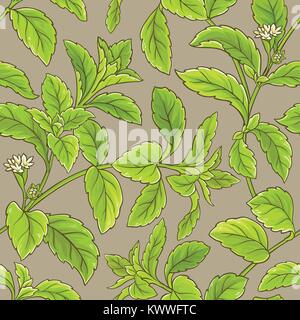 stevia vector seamless pattern on color background Stock Vector