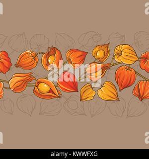 physalis branches vector pattern on color background Stock Vector