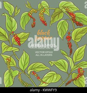 black ground pepper vector frame on color background Stock Vector