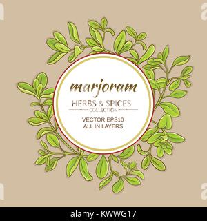 marjoram branches vector frame on color background Stock Vector