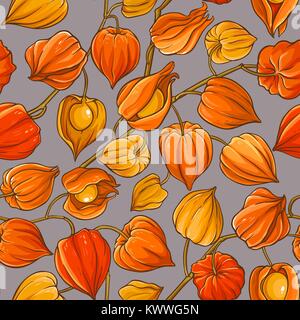 physalis branches vector pattern on color background Stock Vector