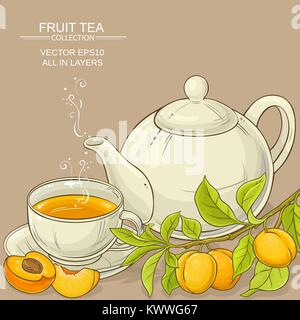 apricot tea vector illustration on color background Stock Vector