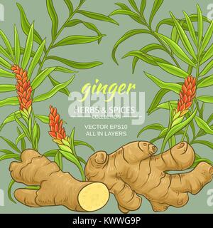 ginger plant vector frame on color background Stock Vector