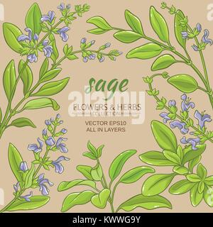 sage leaves vector frame on color background Stock Vector