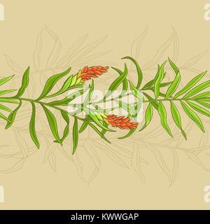 ginger leaves and flowers vector pattern on color background Stock Vector