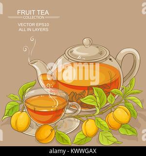 apricot tea vector illustration on color background Stock Vector