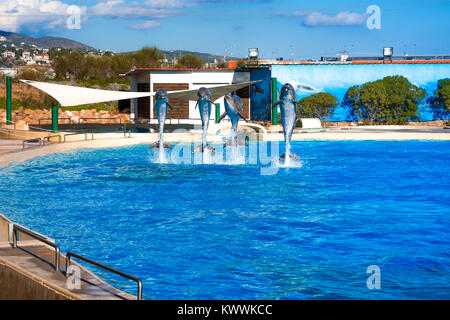 Dolphins at the Attica Zoo park, Athens, Greece Stock Photo