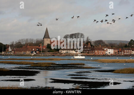 migrant Brent geese flying on estuary at low tide, Bosham Hoe, Bosham, West Sussex, England Stock Photo