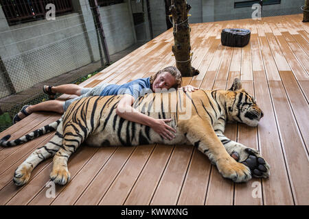 Young man hugging a big tiger in Thailand Stock Photo: 170829498 - Alamy