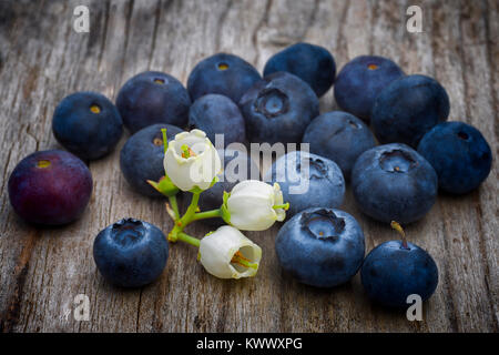 blueberry flowers and fruits (Vaccinium corymbosum) on wooden table, northern highbush blueberry also known as blue huckleberry is the blueberry commo Stock Photo