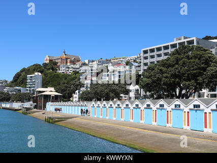 Boat sheds, Oriental Bay, Wellington harbour, Wellington, New Zealand with St Gerard's Monastery and Church on hillside  beyond the boatsheds. Stock Photo