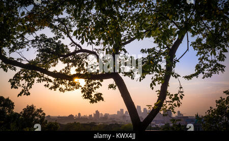 horizontal sunset with the minneapolis minnesota skyline in the distance framed with huge tree, leaves and branches. sky is pink, blue and purple. Stock Photo