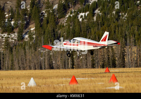 A rear view of a light airplane coming in for a landing on a grass air strip in Jasper National Park Alberta Canada Stock Photo