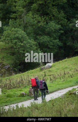 2 male walkers or hikers with rucksacks, walk together along Pennine Way National Trail footpath -  near Malham Cove, Yorkshire Dales, England, UK. Stock Photo