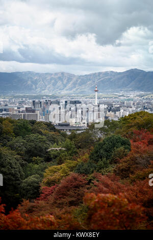 Kyoto tower and the cityscape with mountains in the background and colorful autumn trees in foreground with an eagle flying by, aerial city scenery. H Stock Photo