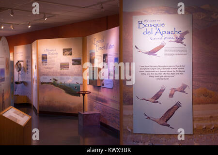 Visitor Center display, Bosque del Apache National Wildlife Refuge, New Mexico Stock Photo