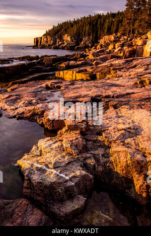 Sunrise on Otter Cliffs in Acadia National Park. Stock Photo