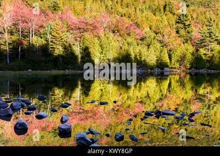 Colorful autumn foliage on the shore of Bubble Pond in Acadia National Park. Stock Photo