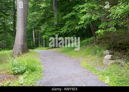 A maintained pathway ascending a small hill through a forest of green trees. Douglas Park, New York Stock Photo