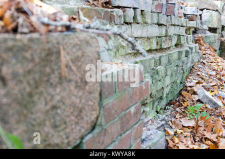 The ruins of Old Farm, George Dorr's estate, in the woods near Compass Harbor, Acadia National Park, Maine. Stock Photo