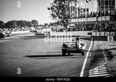 Jaguar D-Type, MWS 302, exits the chicane & heads down the Pit Straight at Goodwood Racing Circuit Stock Photo