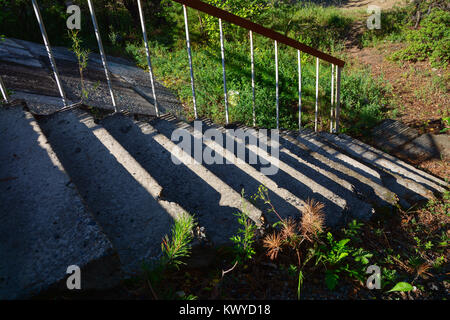 Old stone stair and surrounding vegetation Stock Photo