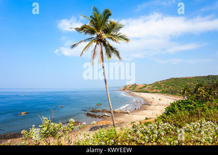 Vagator or Ozran beach with palms aerial panoramic view in north Goa, India Stock Photo