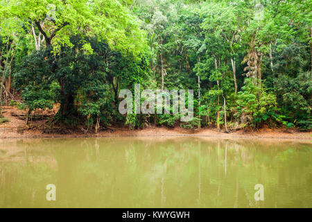 Royal Pond in Kandy Udawatta Kele Royal Forest Park or Udawattakele Sanctuary in the city of Kandy, Sri Lanka Stock Photo